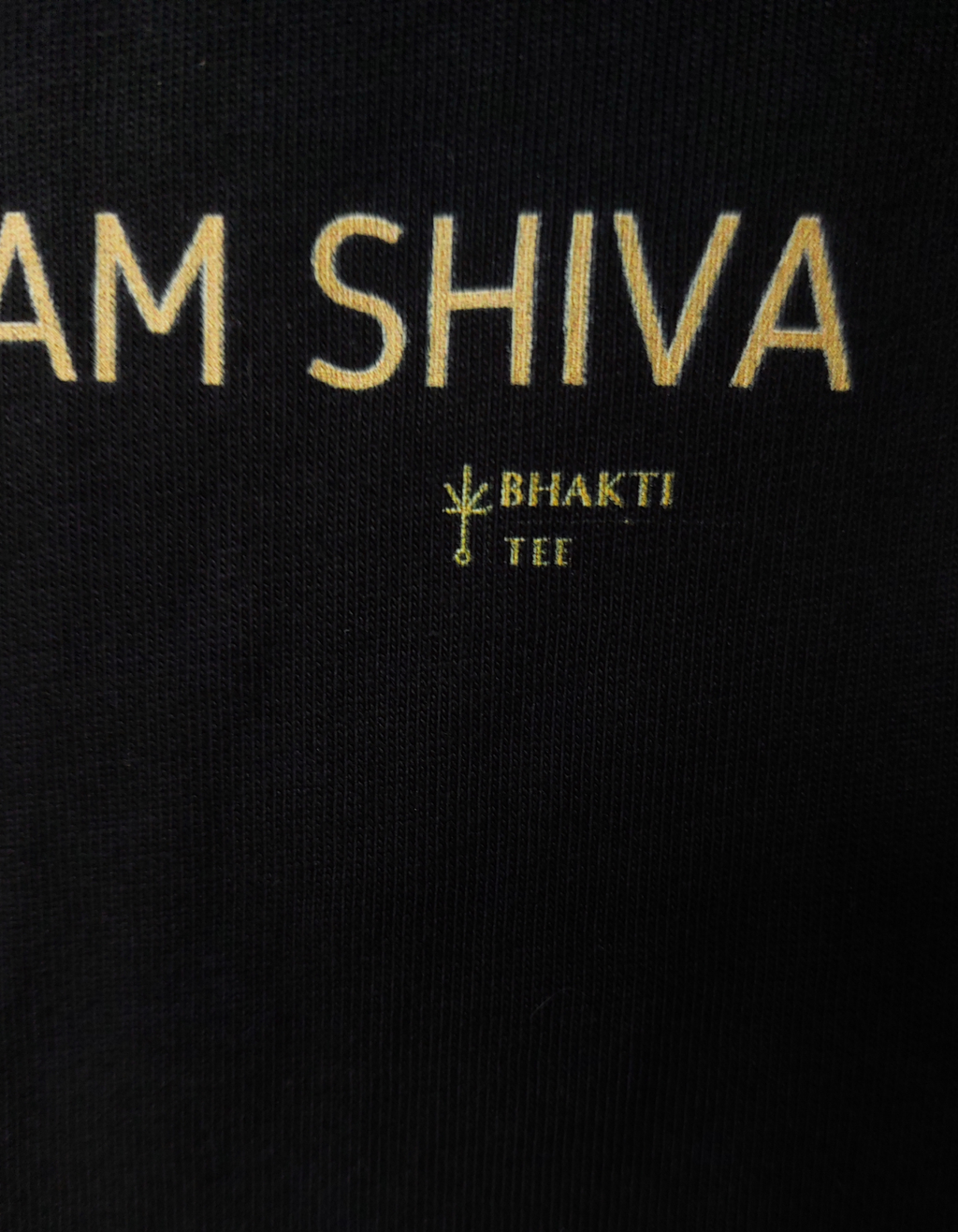 I AM SHIVA (शिवोऽहम्) — Shiva Oversized Tee